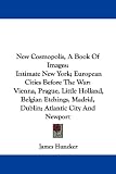 New Cosmopolis, A Book Of Images: Intimate New York; European Cities Before The War: Vienna, Prague, Little Holland, Belgian Etchings, Madrid, Dublin; Atlantic City And Newport
