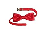 Cat Collar with Bow Tie, Red (10" x 3/8")