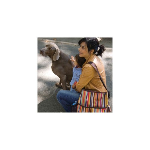Imagen 4 de Skip Hop DUO-CAN-STR - Bolso para pañales y cambiador con diseño de rayas, multicolor