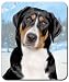 Greater Swiss Mountain Dog Mousepad