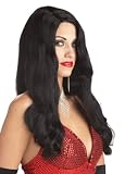 California Costume Black Silver Screen Sinsation Wig