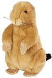 Plush Signature Prairie Dog 14