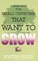 A Little Book For Small Churches That Want To Grow
