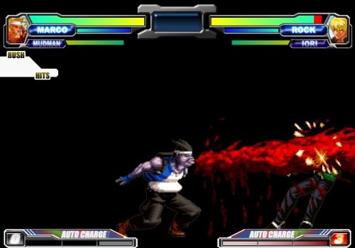 NeoGeo Battle Coliseum image