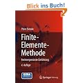 Finite-Elemente-Methode: Rechnergest�tzte Einf�hrung