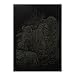 Imported Foil Engraving Art Boards Scraper Picture Board Kids DIY Crafts Gold Lions RS.335.00