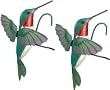 Hummingbird Indoor/Outdoor Plant Hanger Statuary (set of 2)