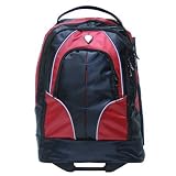 Rickster 20 Backpack Color: Red