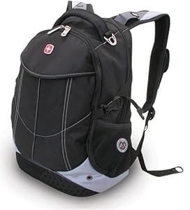 SwissGear Computer Backpack (Black/Gray): Computers & Accessories
