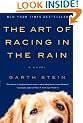 The Art of Racing in the Rain: A Novel