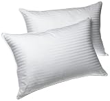 Louisville Bedding Bridal Beginnings 500-Thread-Count Cotton Sateen Stripe Set of 2 Bed Pillow