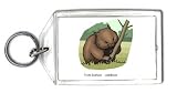 Keychain with ursinus, vombatus, wombat, rodent