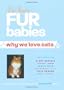 Fur Babies: Why We Love Cats