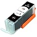 Starink 13 Pack Compatible Ink Cartridges Canon PGI-250XL CLI-251XL PGI250 CLI251 High Yield Repalcement for Canon PIXMA MG7520 MG7120 MG6320 iP8720 Printers (3LBK+2BK+2C+2M+2Y+2GY)