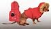 Pet Supplies : LARGE - Fashion Pet Snow Angel Heated Parka