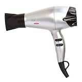 Ion Anti-Frizz Ionic Hair Dryer