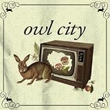 Owl City Record Store Day 7 Inch [Vinyl]