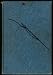 Search : Flashing Harpoons: the story of whales and whaling