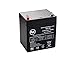 Kung Long WP5-12 12V 4.5Ah UPS Battery - This is an AJC Brand Replacement
