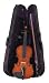 Palatino VN-450-1/2 Antonius Violin Outfit, 1/2 Size