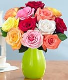 One Dozen Rainbow Roses