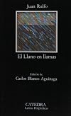 Burning Plain and Other Stories