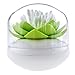Bloss Bathroom Vanity Canister Jar for Swabs, Cosmetic Pads - Green