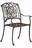 Florence Patio Arm Chair, 36 &acute; Hx24 &acute; W, AGED BRONZE - B001618LSU