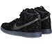 Nike Men's Dunk High Prem Flash Sb Skate Shoe