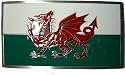 Welsh Flag & Dragon Belt Buckle + display stand