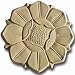 Garden Molds X-DAH8008 Dahlia Stepping Stone Mold