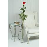 Single Stem 4ft Rose with a Clear Vase