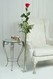 Single Stem 4ft Rose with a Clear Vase