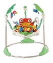 FisherPrice Rainforest