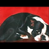 BOSTON TERRIER PAINTING GICLEE
