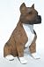 PIT BULL Brindle and White Resin Figurine Sits DOG Big Guy 128B
