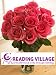 Reading Village Pink Roses