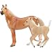 American Quarter Horse and Foal palomino