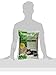 Next Gen Pet Green Tea Fresh Cat Litter 5 Pound Bag