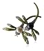 Renato Fellini Damen-Brosche Libelle 925 Sterlingsilber Farblack lemongrün 46 mm HEJPS090003BH