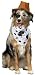Pet Western Cowboy Dog Costume For Large Dogs