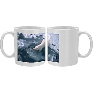 Polar+bear+slipping+on+ice