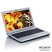 Sony VAIO VPC-S13V5E 34 cm (13.3 Zoll) Notebook (Intel CoreTM