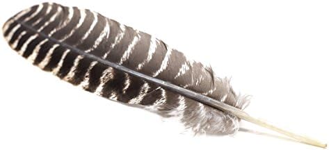 Moorea Seal Banded Smudge Feather
