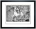 Santana On Stage, 1981 - Fine Art Print