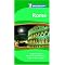 Guidebooks to Rome