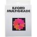Ilford Multigrade Filters 3.5x3.5