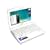 Samsung N210 Netbook Atom N450 1.66GHz 1GB RAM/250GB HDD 6-Cell Battery newly tagged
