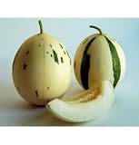 RARE SNOW LEOPARD VARIEGATED HONEYDEW 5 SEEDS - B001JB91S6
