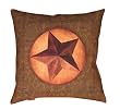 Barn Star Western Indoor/Outdoor Weather Resistant Fabric Pillows (Set of two 20 inch)
